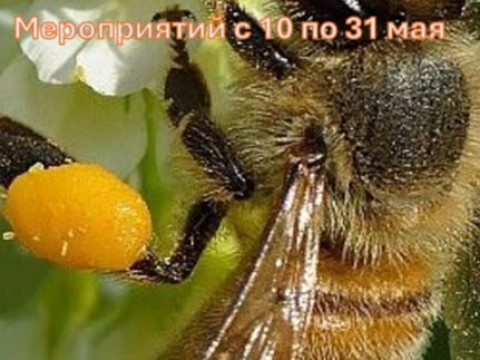 Расписание экскурсий на май 2025 г.