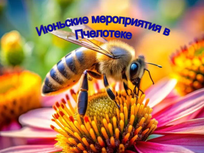 Калейдоскоп увлекательных экскурсий на июнь